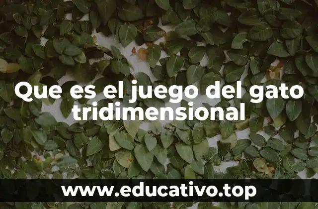 Que es el juego del gato tridimensional