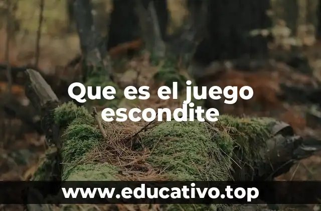 Que es el juego escondite