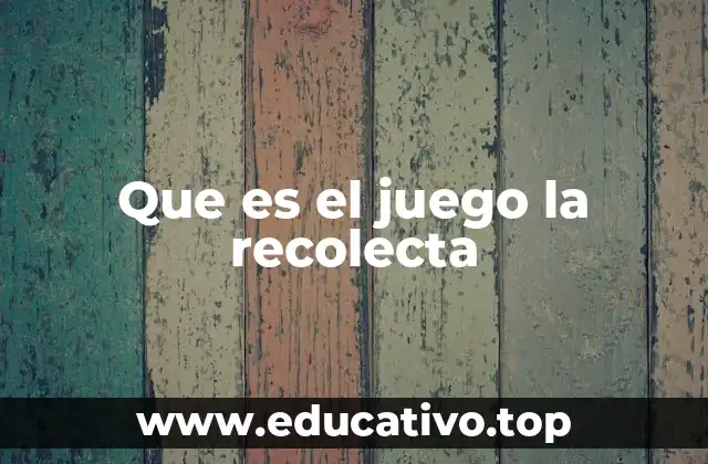Que es el juego la recolecta