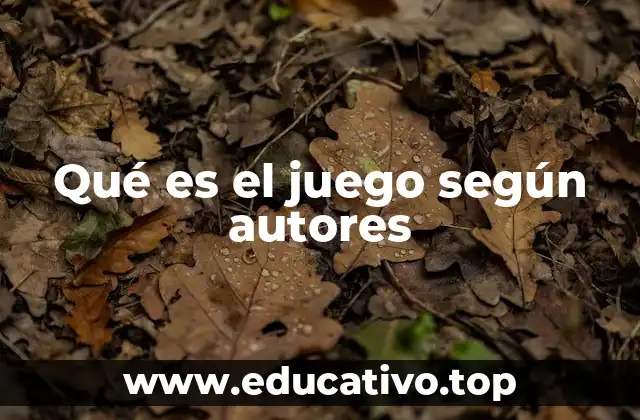 Qué es el juego según autores