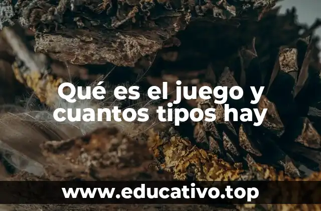 Qué es el juego y cuantos tipos hay