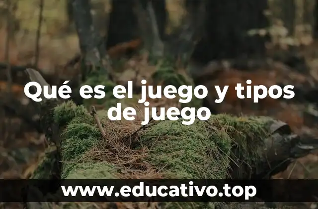 Qué es el juego y tipos de juego