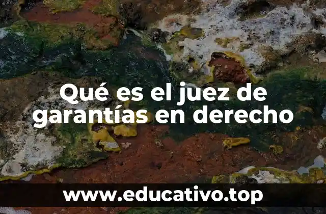 La relevancia del juez de garantías en el sistema judicial