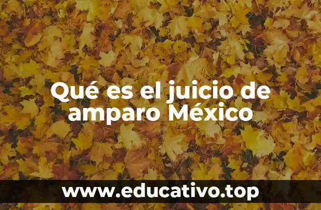 La importancia del amparo como mecanismo de defensa