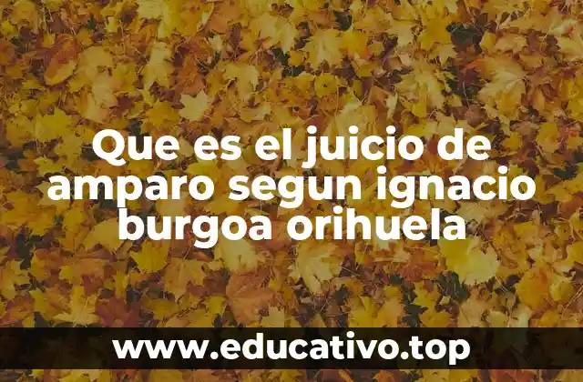 Que es el juicio de amparo segun ignacio burgoa orihuela