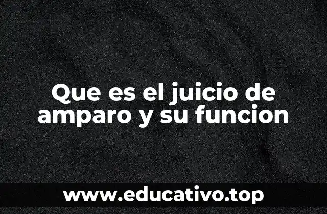 Que es el juicio de amparo y su funcion