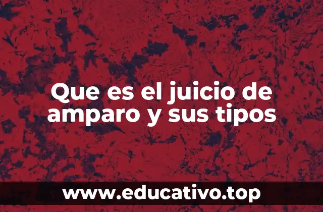 Que es el juicio de amparo y sus tipos