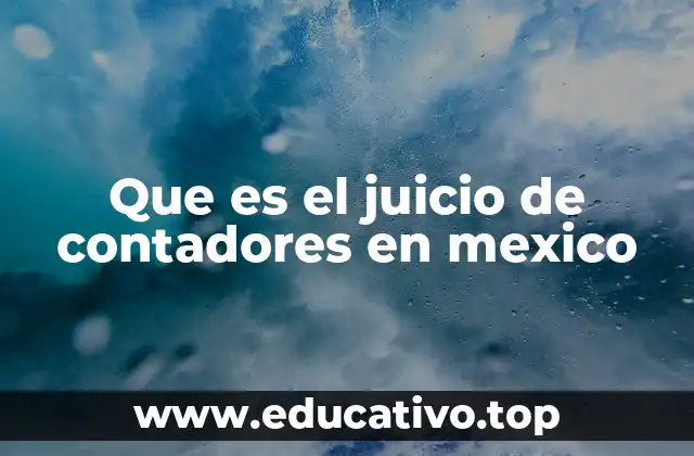 Que es el juicio de contadores en mexico