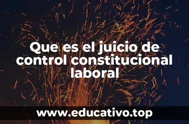 El rol del derecho constitucional en la protección laboral