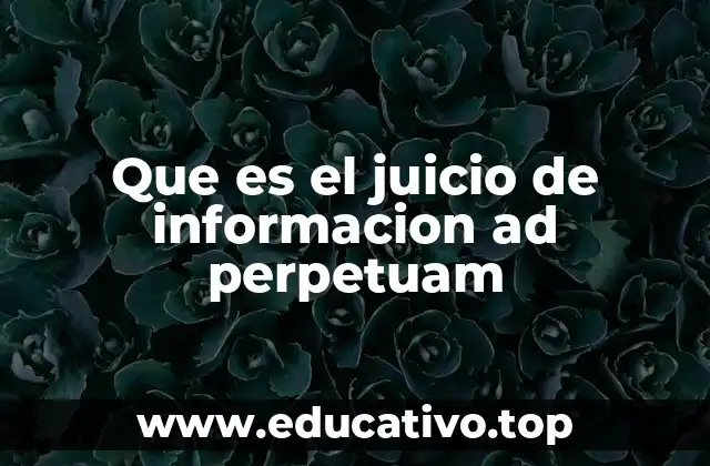 Que es el juicio de informacion ad perpetuam