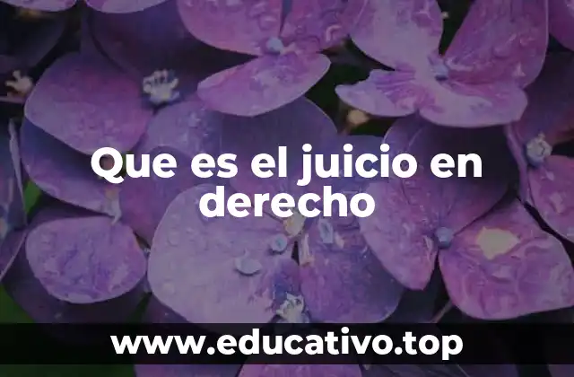 Que es el juicio en derecho