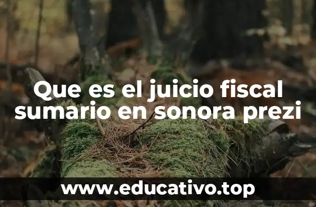 Que es el juicio fiscal sumario en sonora prezi