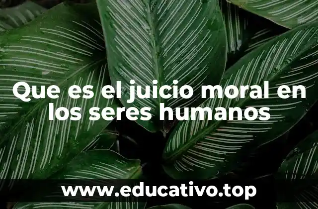 Que es el juicio moral en los seres humanos