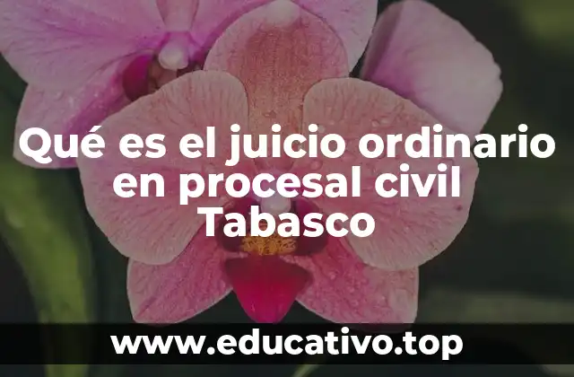El papel del juicio ordinario en la justicia civil tabasqueña