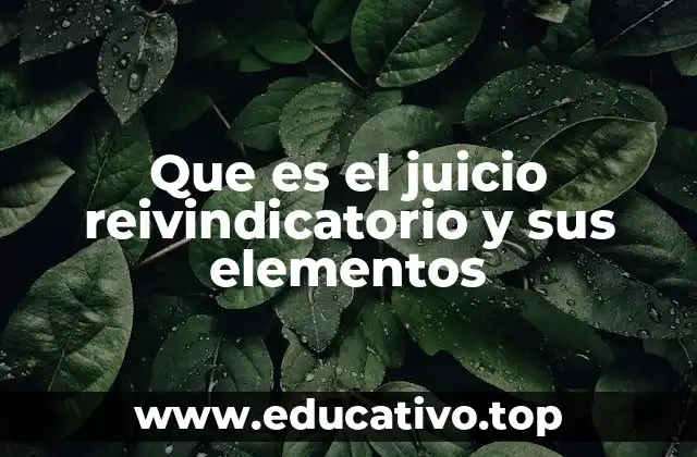 Que es el juicio reivindicatorio y sus elementos