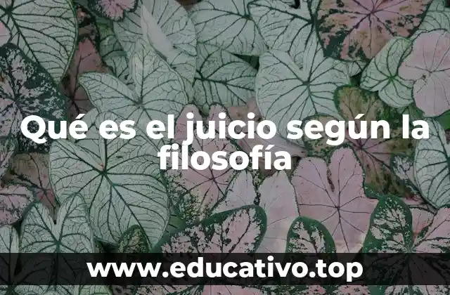 Qué es el juicio según la filosofía