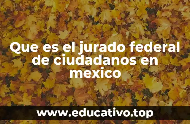 Que es el jurado federal de ciudadanos en mexico