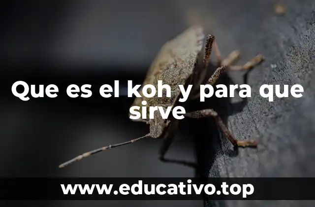 Que es el koh y para que sirve