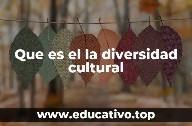 Que es el la diversidad cultural