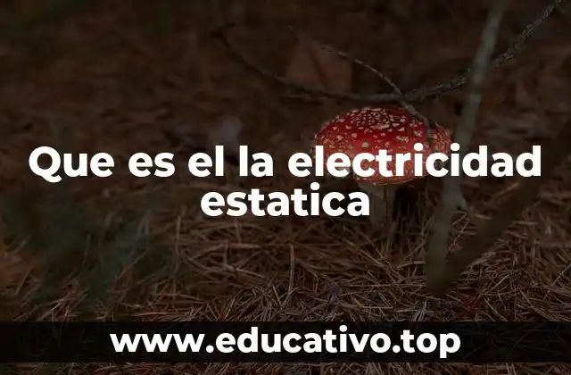 Que es el la electricidad estatica