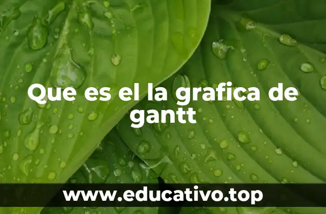 Que es el la grafica de gantt