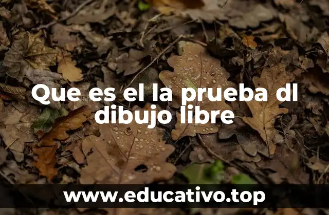 Que es el la prueba dl dibujo libre