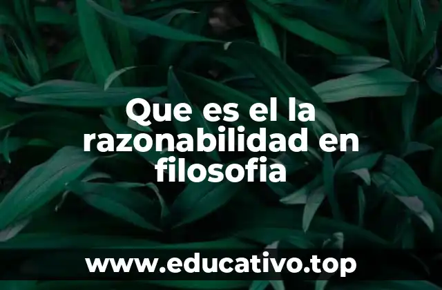 Que es el la razonabilidad en filosofia