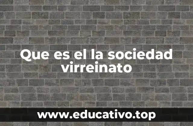 Que es el la sociedad virreinato