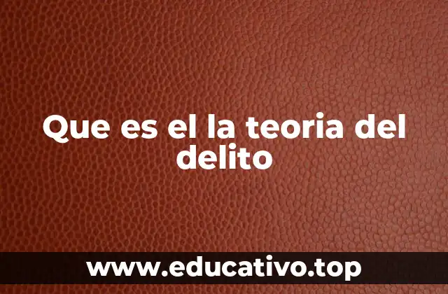 Que es el la teoria del delito