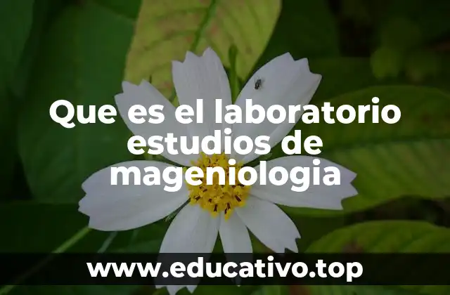Que es el laboratorio estudios de mageniologia