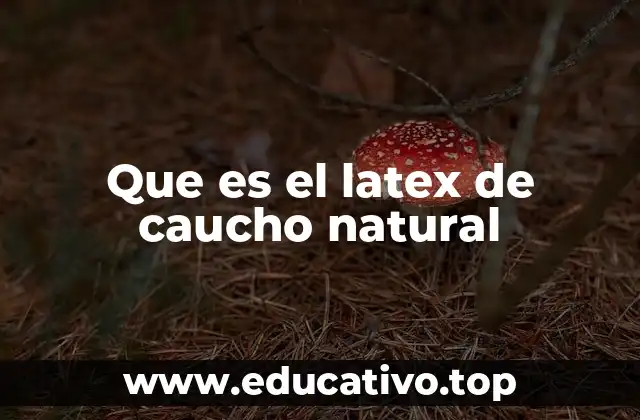 Que es el latex de caucho natural