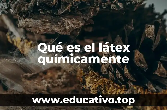 Qué es el látex químicamente
