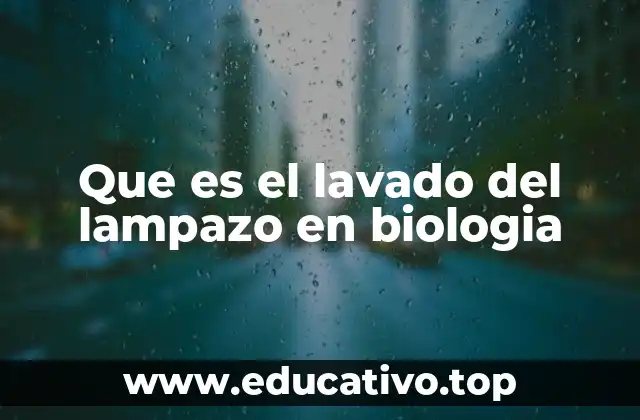 Que es el lavado del lampazo en biologia
