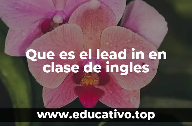 Que es el lead in en clase de ingles