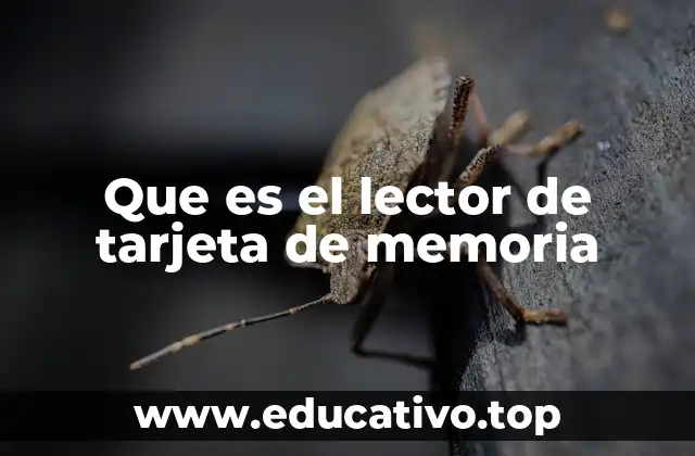 Que es el lector de tarjeta de memoria