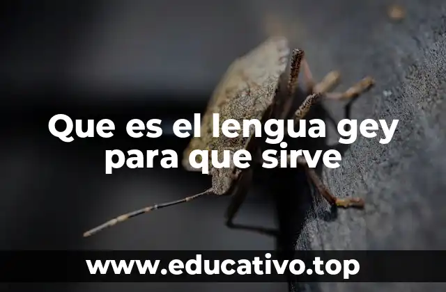 Que es el lengua gey para que sirve