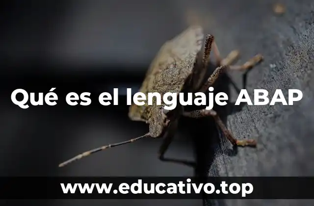 Qué es el lenguaje ABAP