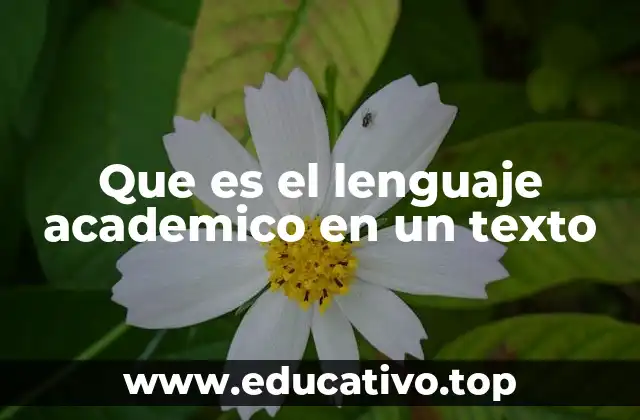 Que es el lenguaje academico en un texto