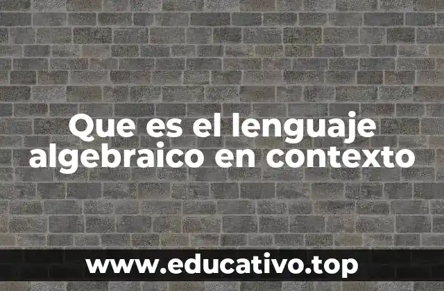 Que es el lenguaje algebraico en contexto
