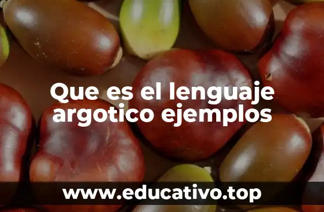 Que es el lenguaje argotico ejemplos