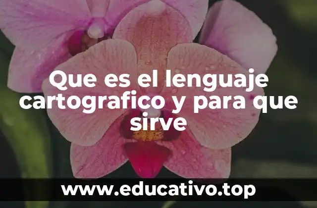 Que es el lenguaje cartografico y para que sirve