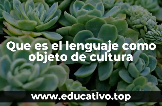 Que es el lenguaje como objeto de cultura