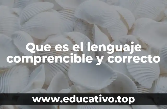 Que es el lenguaje comprencible y correcto