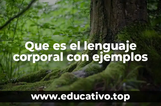 La importancia del lenguaje corporal en la vida cotidiana