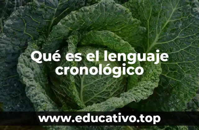 Qué es el lenguaje cronológico