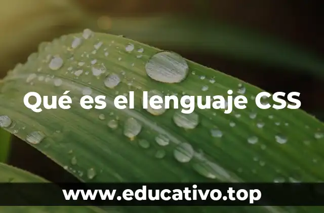 Qué es el lenguaje CSS