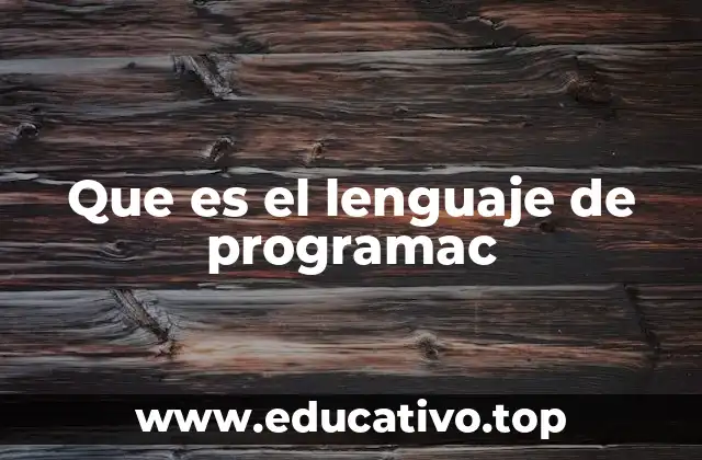 Que es el lenguaje de programac