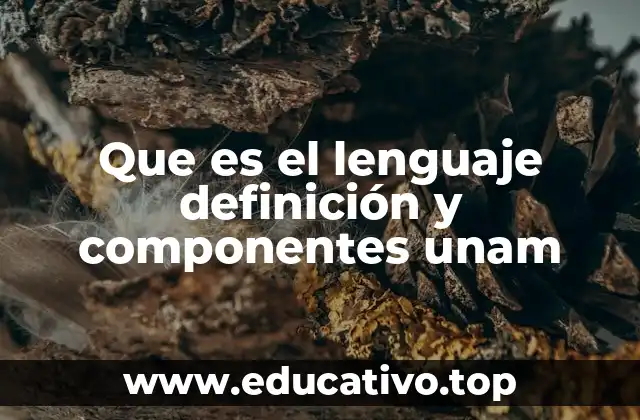 Que es el lenguaje definición y componentes unam
