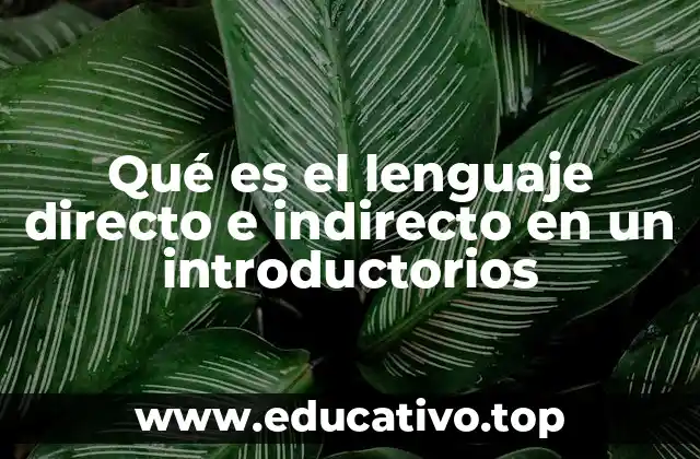 La importancia de elegir el lenguaje adecuado en los introductorios