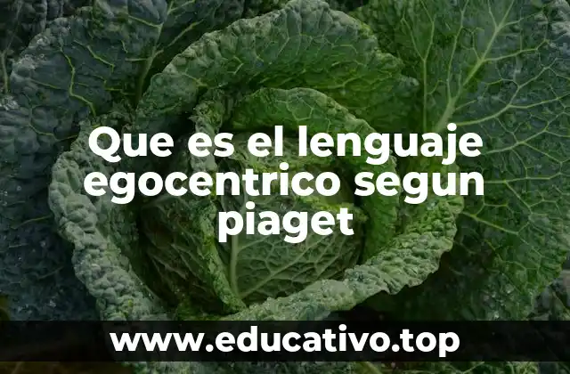 El lenguaje en la etapa preoperatoria